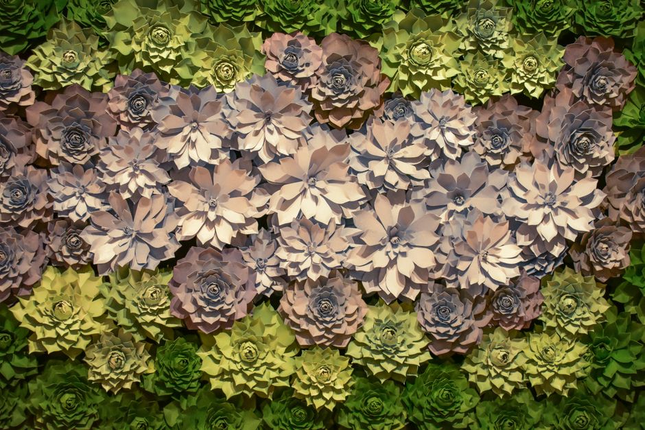 A vibrant display of handcrafted paper flowers showcasing intricate design and vivid colors.