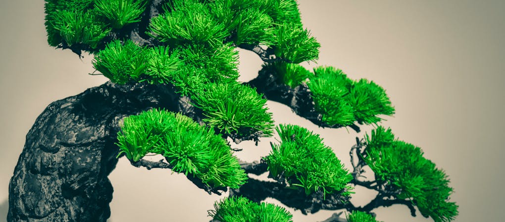 Close-up of a vibrant green artificial pine bonsai tree | Bonsaii - artisan bonsai trees and gifts