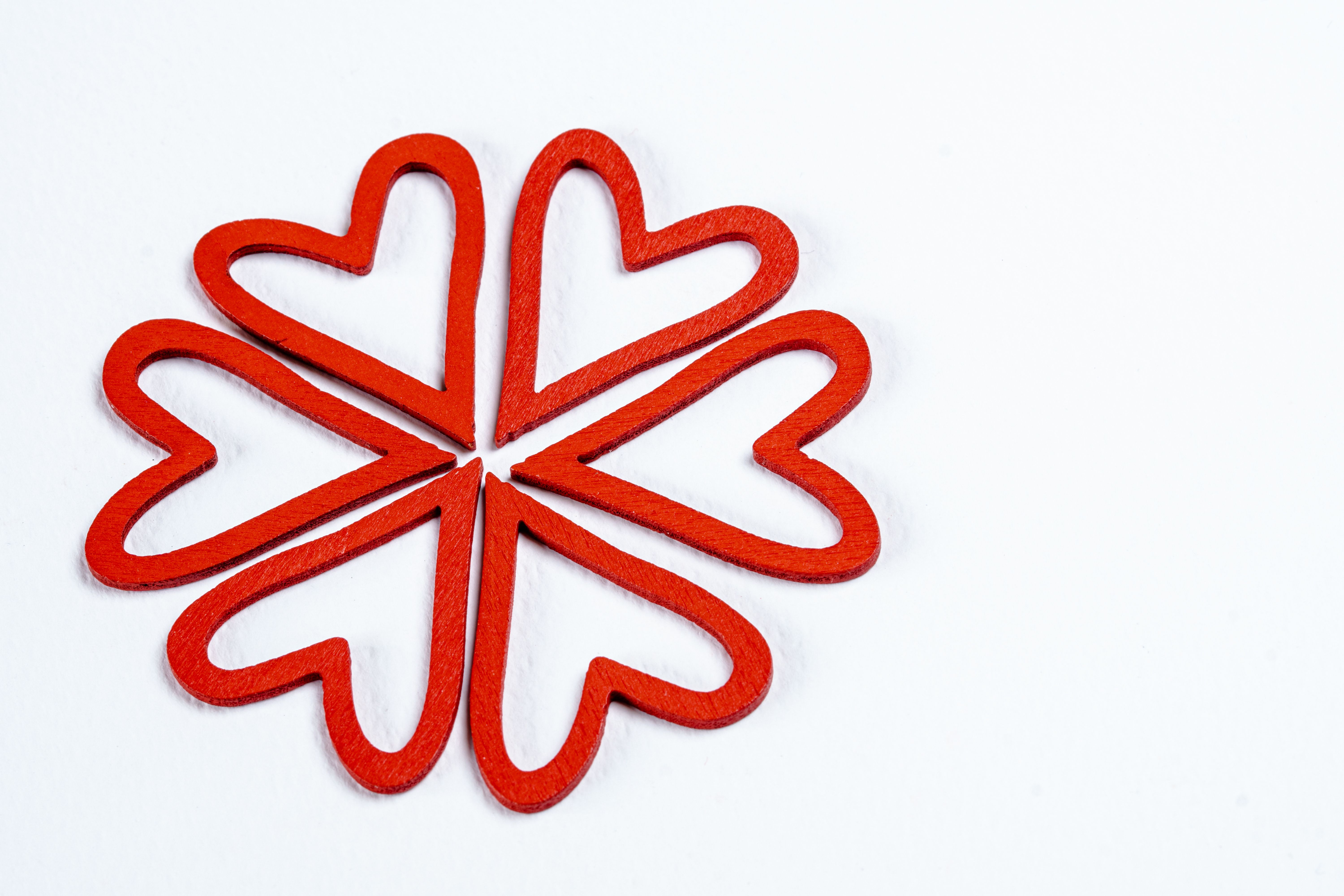 A creative heart-shaped arrangement forms a floral pattern on a white surface, perfect for Valentine's art.