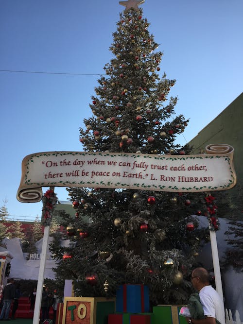 Noel ağacı içeren Ücretsiz stok fotoğraf