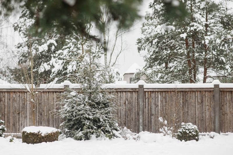 Fence marketing and SEO services