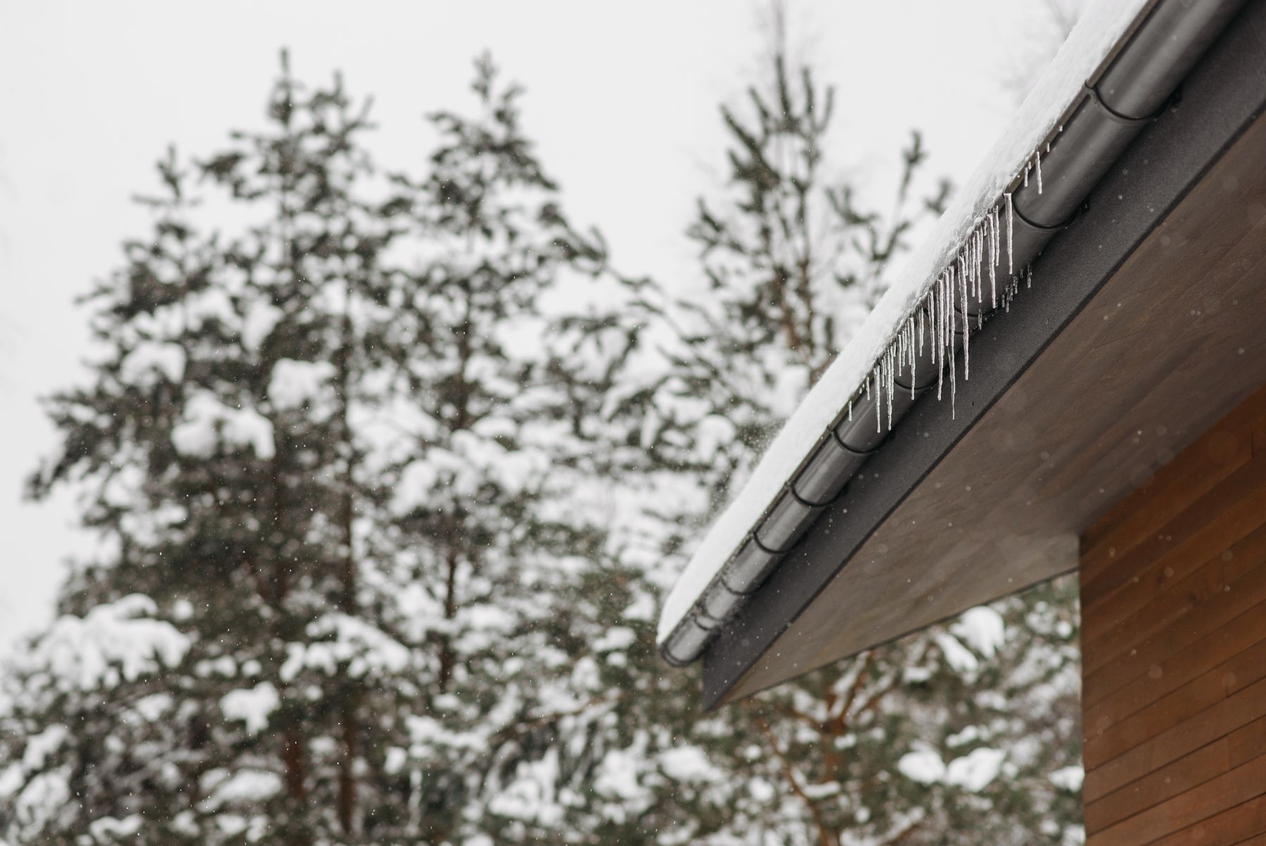 Icicles hanging from a snow-covered roof