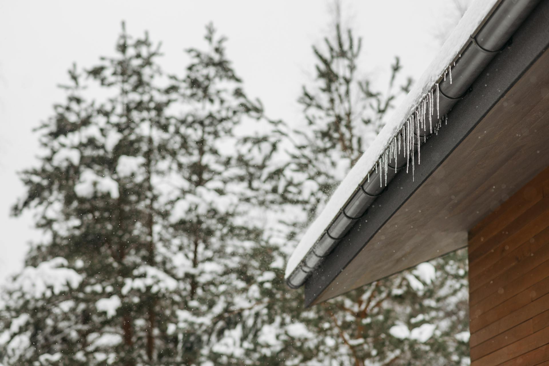 Snow-Covered Roof