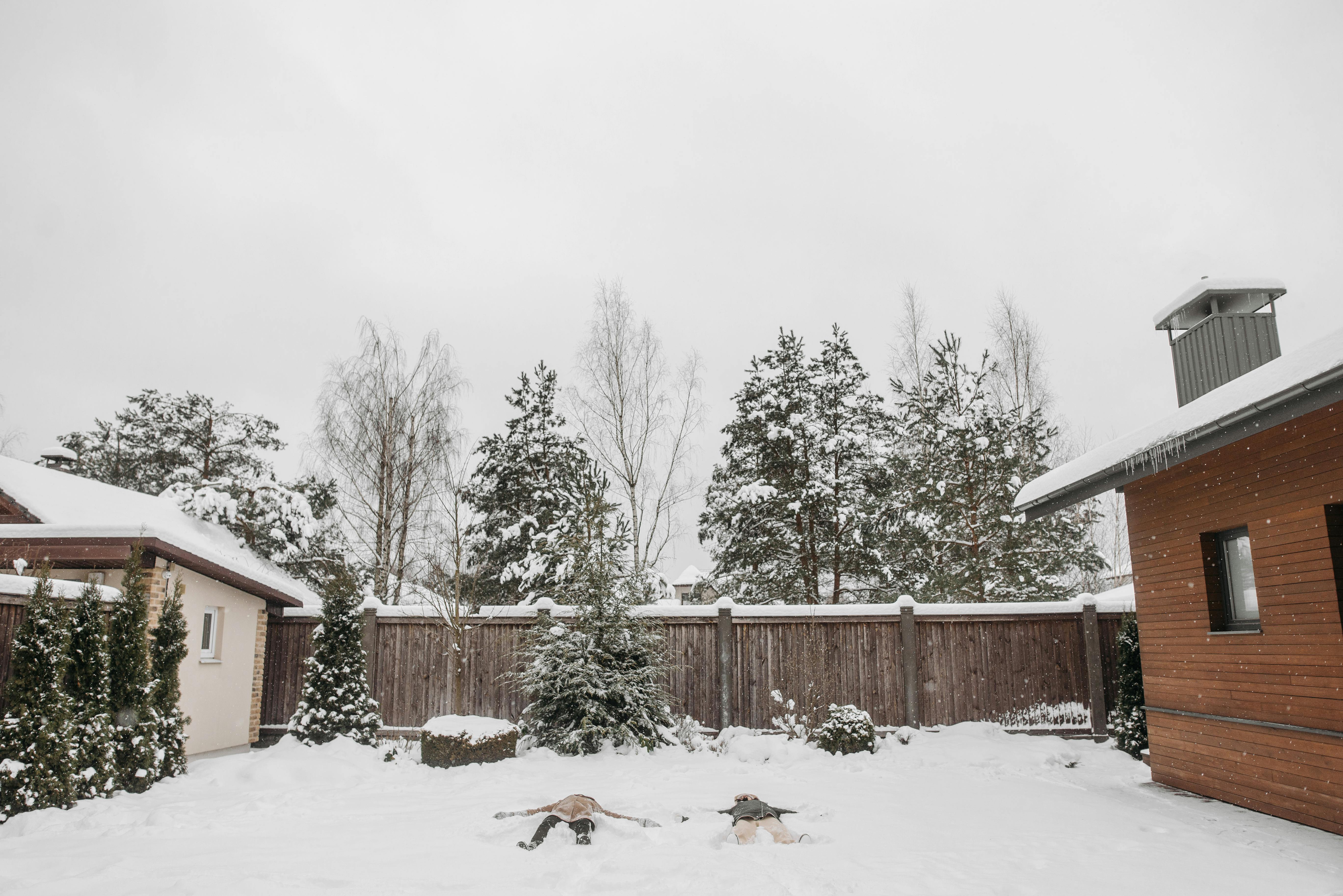 cold snow wood landscape