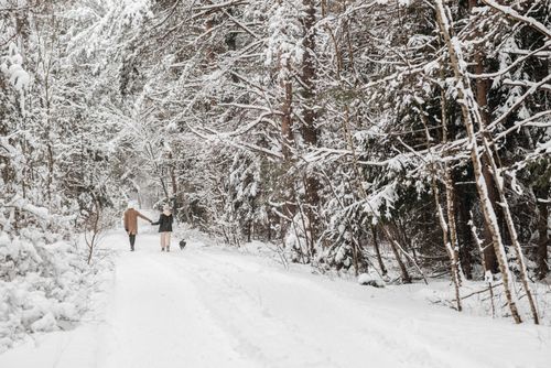 Free A couple enjoys a serene walk with their dog through a snow-covered forest path on a winter day. Stock Photo