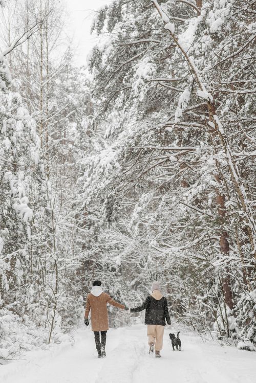 Free A couple and their dog take a serene walk in a snow-covered forest during winter. Stock Photo