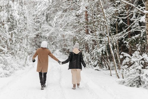 Free A couple holding hands walking in a snow-covered forest during winter. Stock Photo