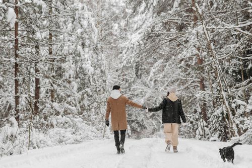Free A couple holding hands while walking along a snow-covered forest path in winter. Stock Photo