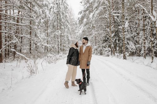 Free A couple walks their dog in a snow-covered forest, capturing the serene beauty of winter. Stock Photo