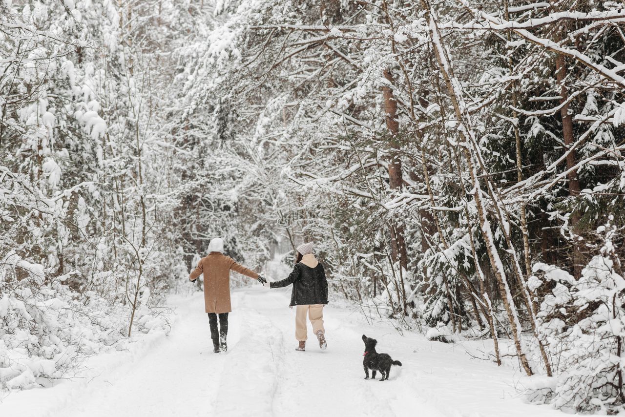 Two women and a dog walking on a snowy forest road
