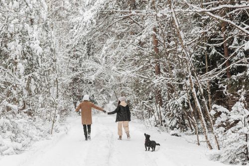 Free A couple with their dog walks hand in hand through a scenic snowy forest, capturing the essence of winter romance. Stock Photo