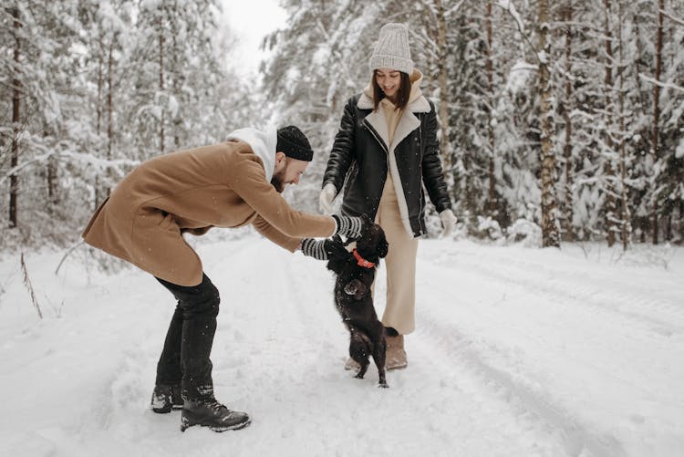 Couple Playing With A Dog During Winter