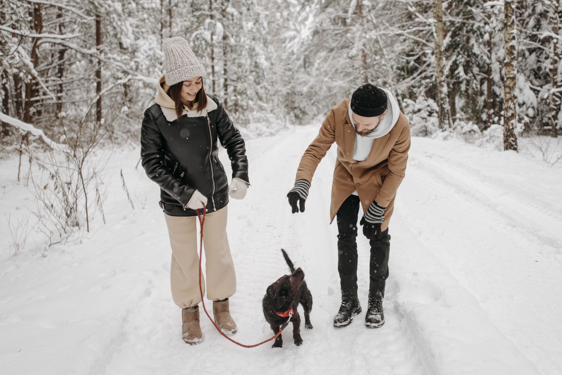 A Couple with Dog Standing on the Snow Together