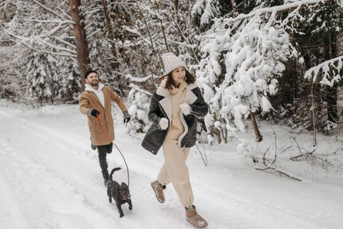 Free A happy couple and their dog enjoying a lively winter run through a snowy forest. Stock Photo