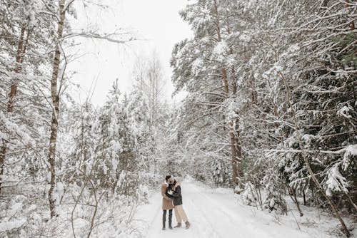 Photograph of a Couple Kissing Between Trees with Snow