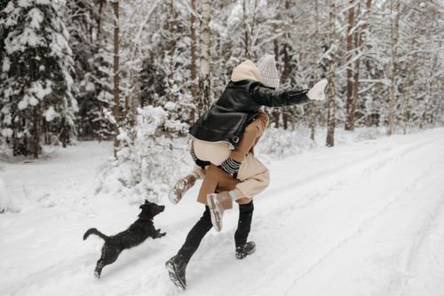 Free A couple enjoys a playful winter day in a snowy forest, accompanied by their dog. Stock Photo