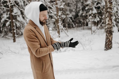무료 겨울, 계절, 남자의 무료 스톡 사진