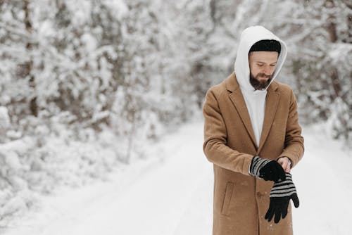 무료 겨울, 겨울 옷, 계절의 무료 스톡 사진