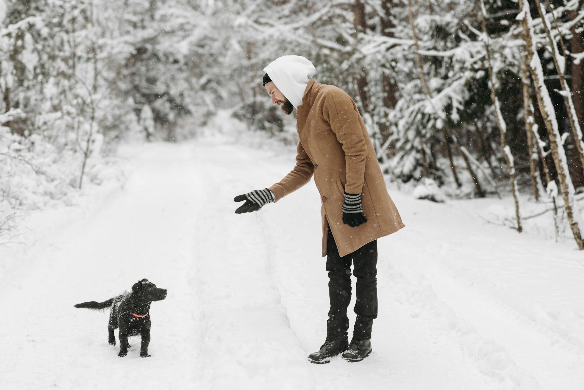 A Man Wearing Winter Clothes Standing Beside His Dog