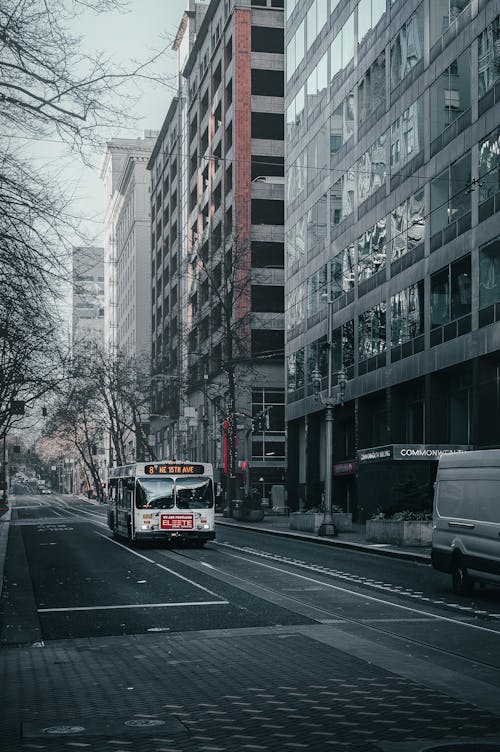 Bus driving on road in downtown