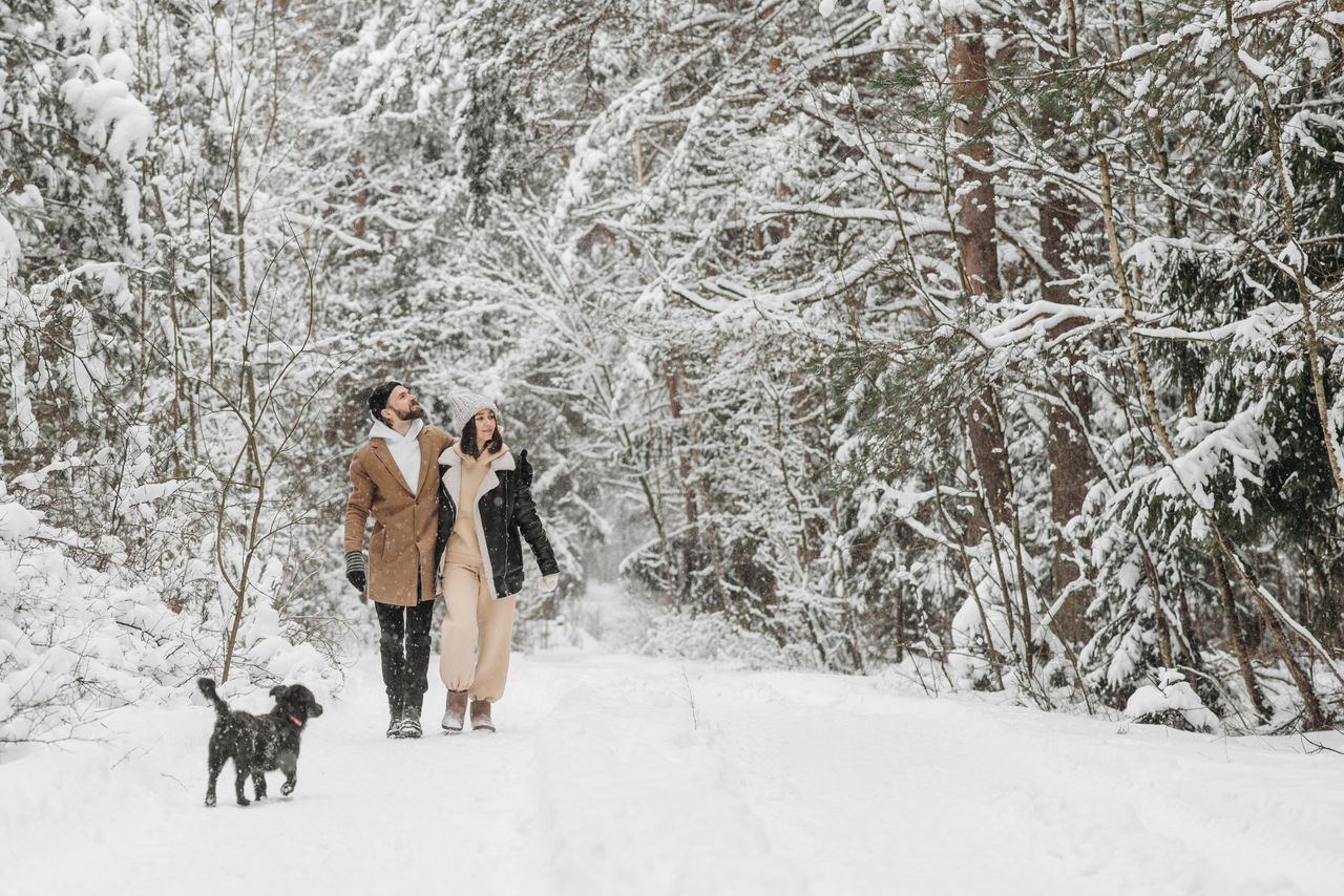 Couple with a dog on a snowy forest path