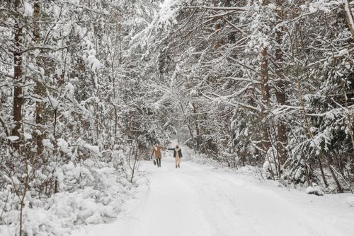 Free Couple with a dog enjoying a serene walk through a snow-covered forest path in winter. Stock Photo