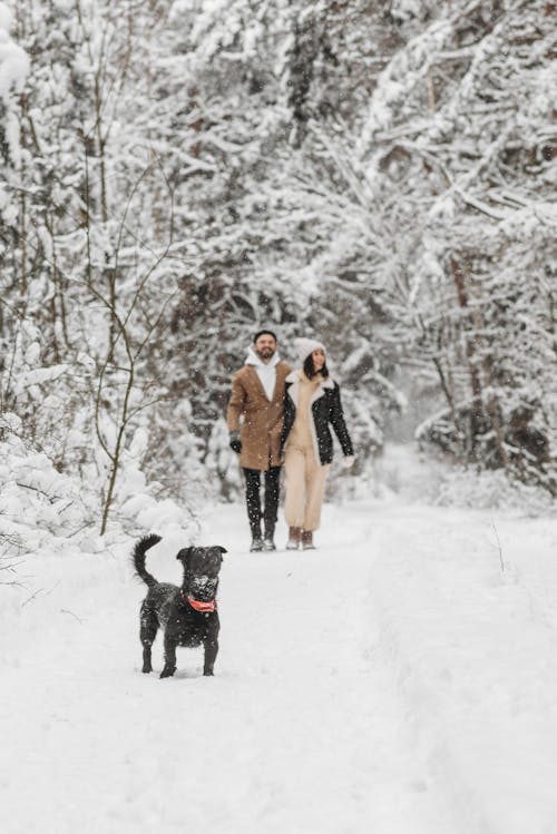 Man and Woman and Black Dog on Snow