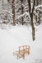 Free stock photo of beard, bench, blizzard