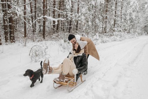 Free A joyful couple sledding through a snowy forest with their playful dog, capturing winter happiness. Stock Photo