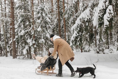 Free Couple enjoying a sled ride in a snowy forest with their dog. Winter excitement and bonding. Stock Photo