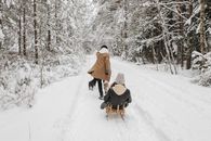 A Man Pulling a Woman on a Sleigh