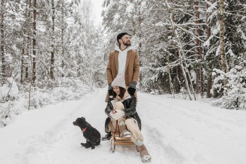 Free A couple enjoys a snowy day sledding with their black dog in a picturesque winter forest. Stock Photo