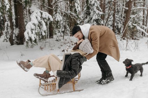 Free A couple shares a romantic moment in a snowy forest with their playful dog. Stock Photo