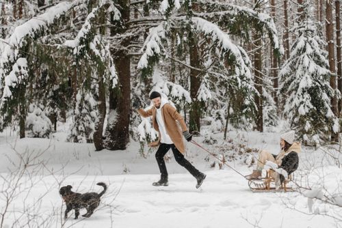 Free Joyful winter scene with a couple and dog sledding in a snow-covered forest, capturing a playful moment. Stock Photo