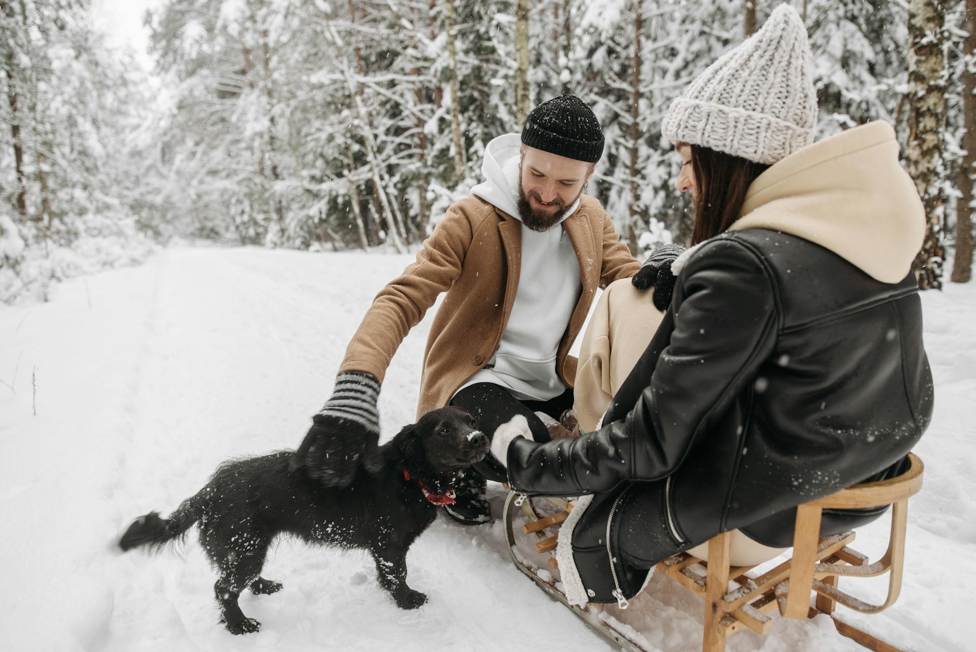 Photograph of Man and a Woman Petting a Black Dog