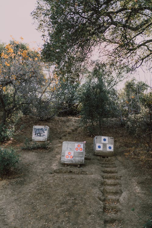 Δωρεάν στοκ φωτογραφιών με memanah, recurve τόξο, sunnah