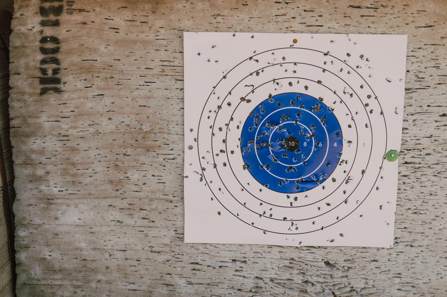 Conquer the Wild: Discover the Ultimate Calibers for Hunting Elk 1 best calibers for hunting elk
