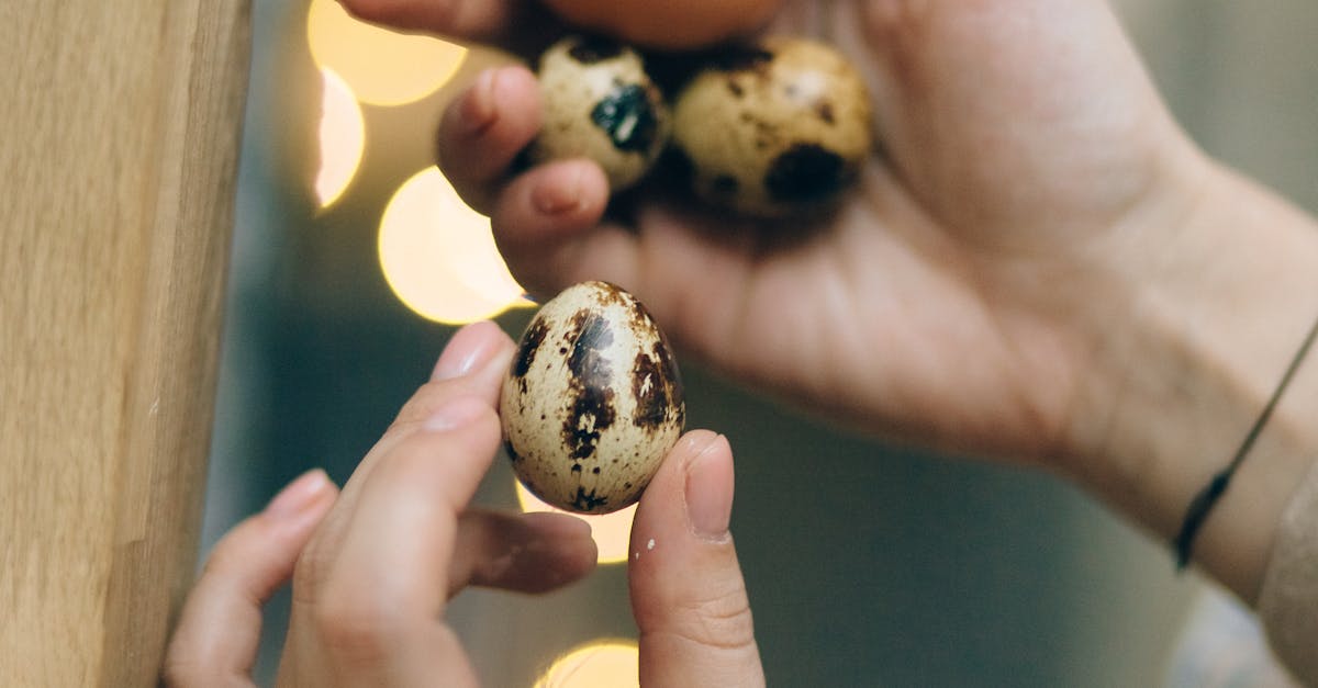 How to tell if a chicken egg is male or female