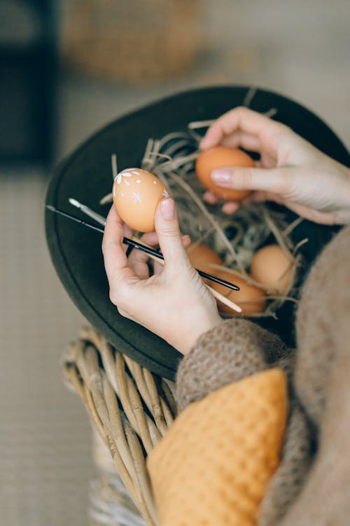 Gratis arkivbilde med brune egg, hender, holde