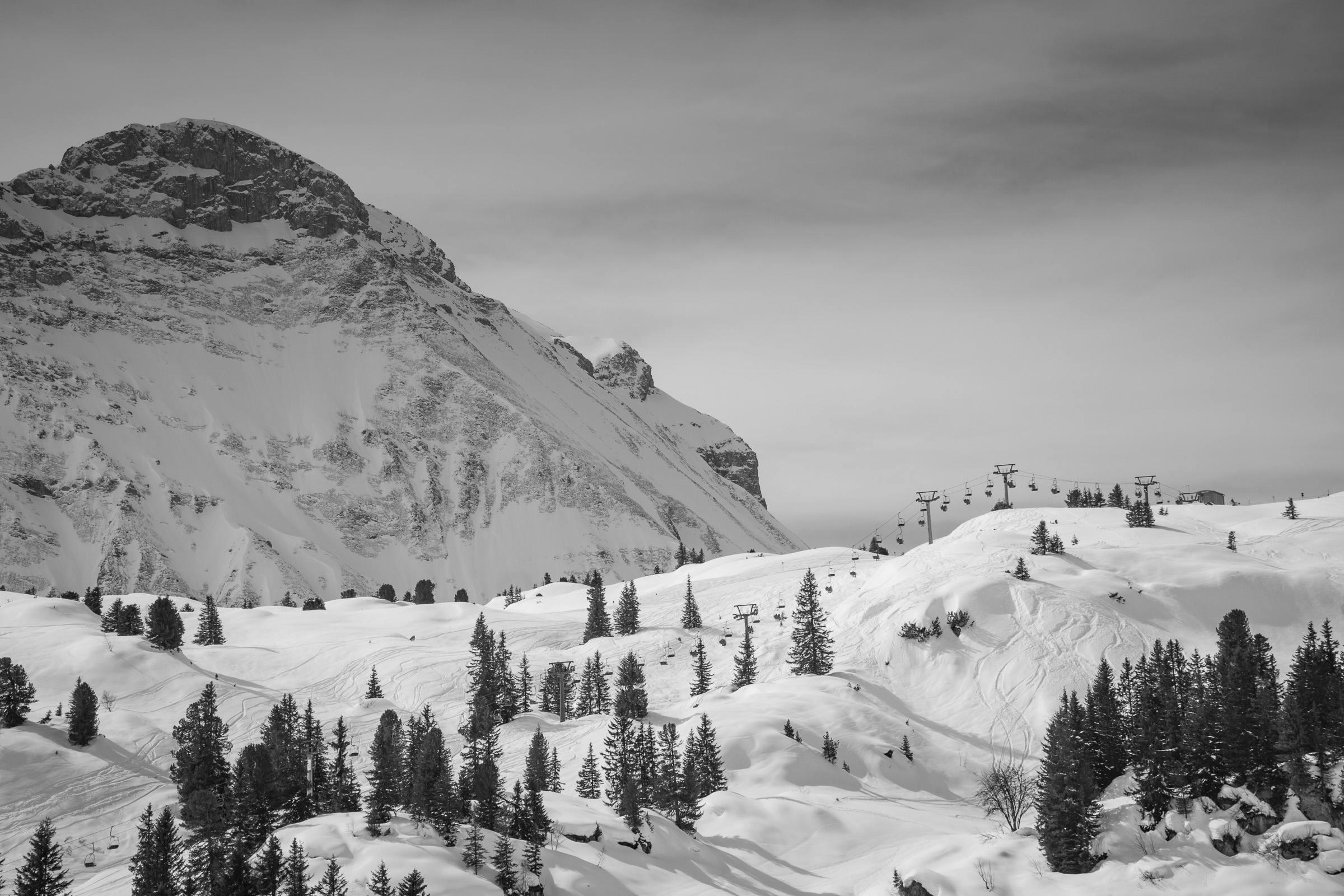 Field Filled With Snow With Pine Tress Near Alp Mountain ...