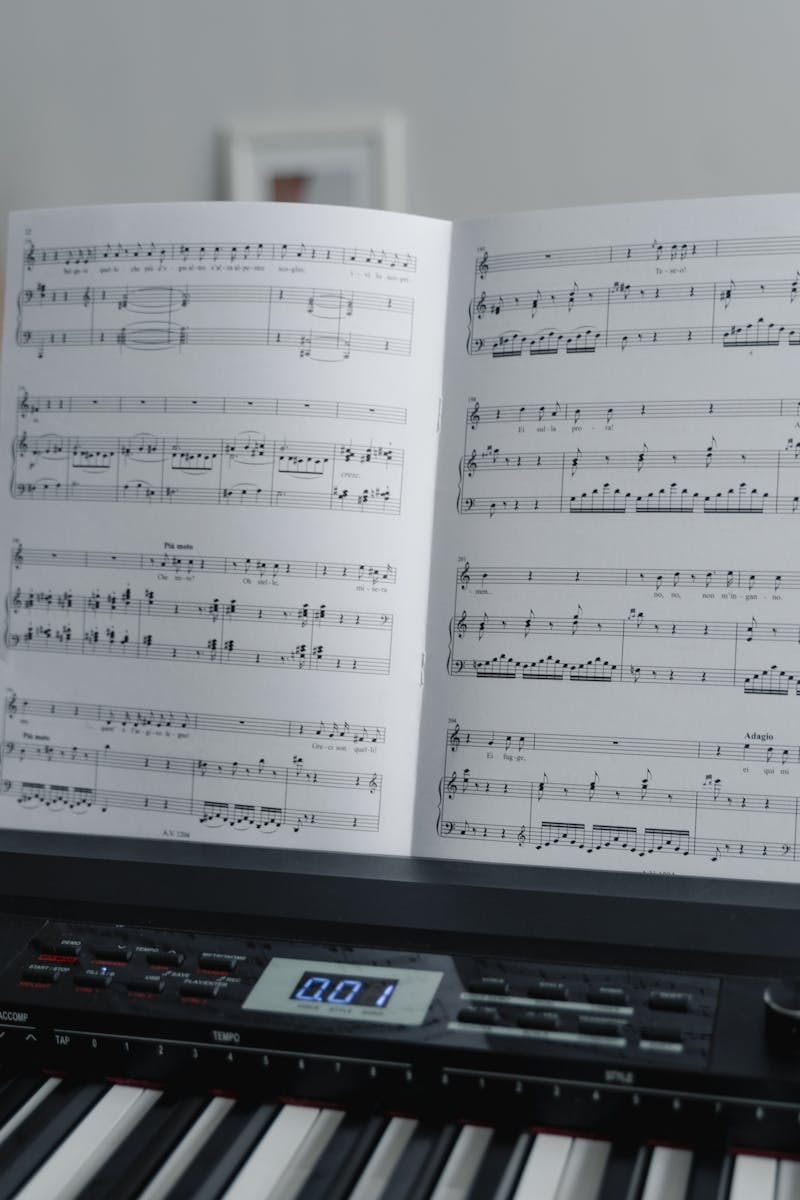 Professioneller Transport eines Flügels durch geschulte Spezialisten