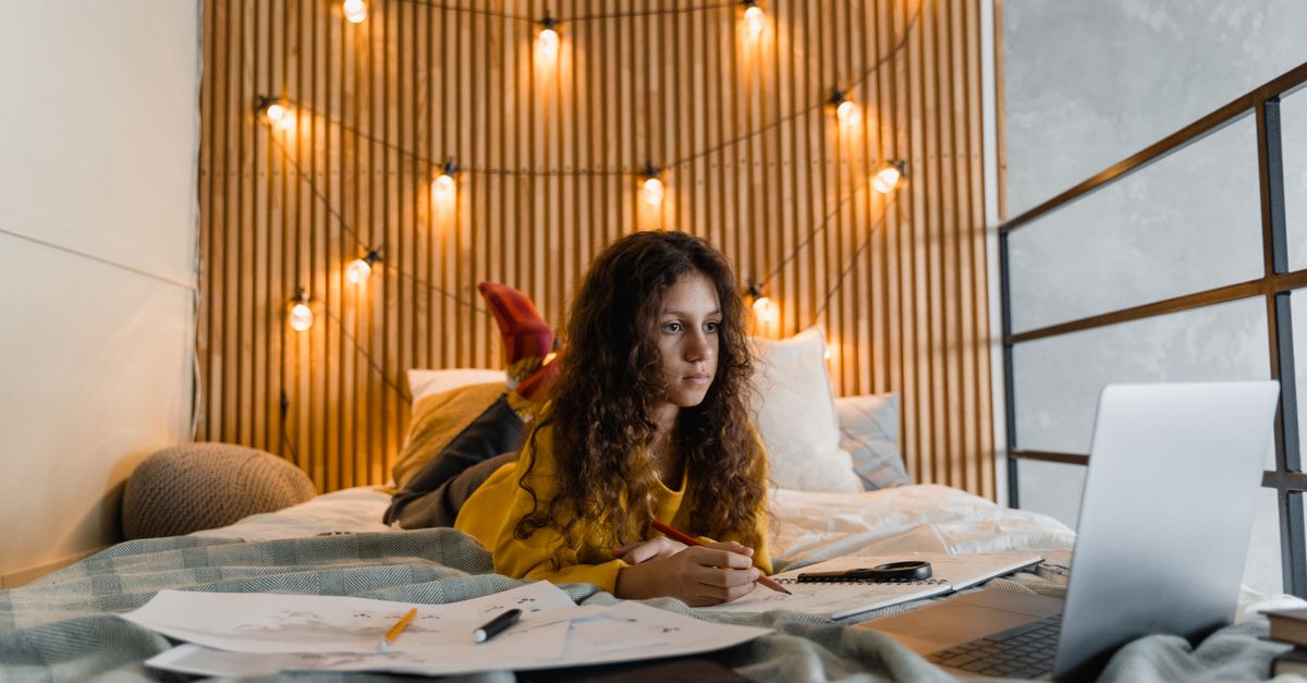 Cómo Elegir los Mejores Cursos Online para Ti