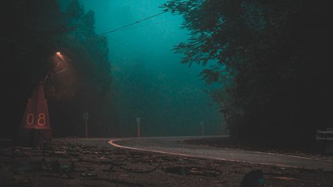 An eerie scene of a winding forest road enveloped in fog and lit by a streetlight, creating a mysterious atmosphere.