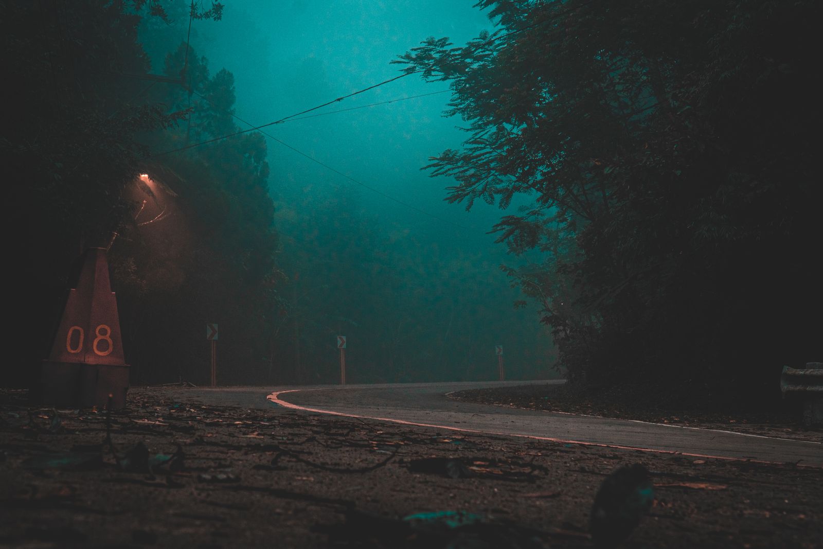 Fog-bound forest road at night — Pao Dayag on Pexels