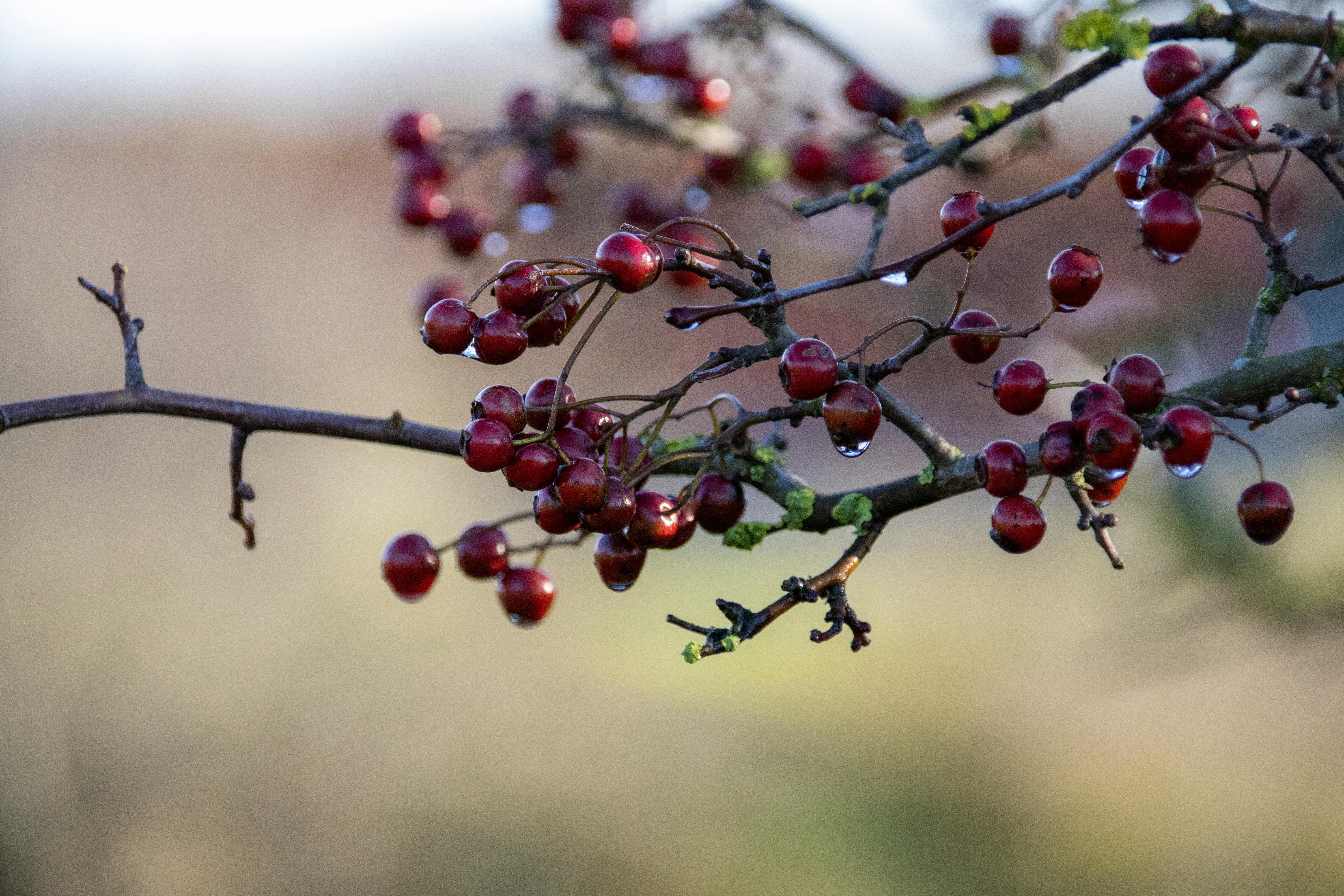 Maureen · Fotografie