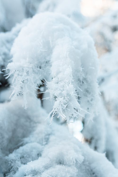 Free stock photo of crystal, ice, icy