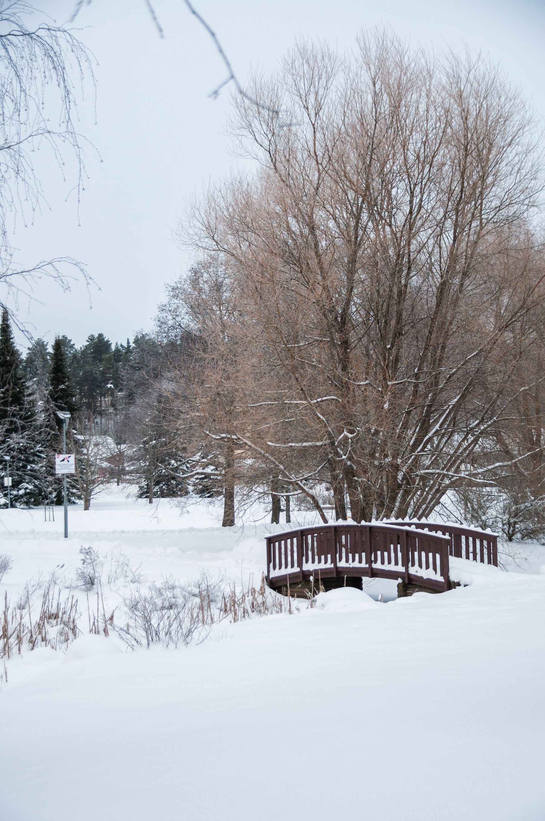 Snow-covered path and wooden bridge in winter