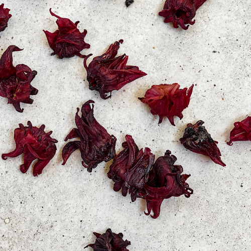 Free Close-up of dried hibiscus (Hibiscus sabdariffa) flowers scattered on a light surface, showcasing natural textures. Stock Photo