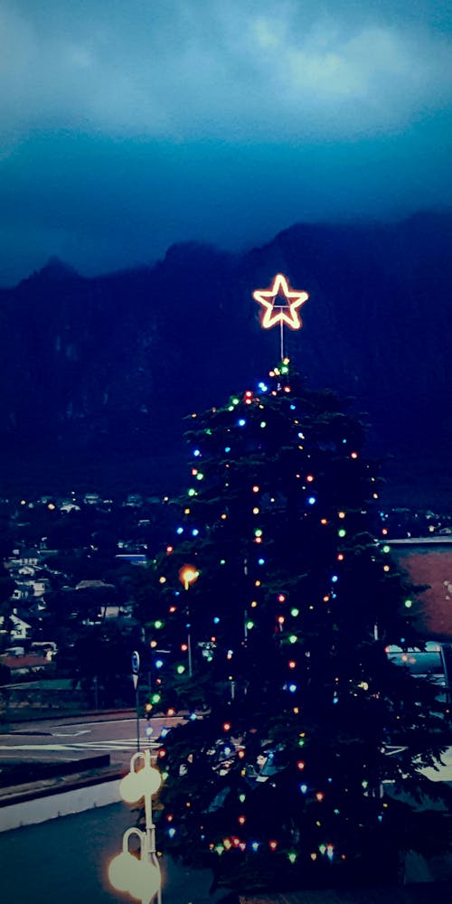 夜間聖誕樹