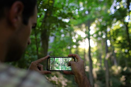 Crop man photographing forest on smartphone